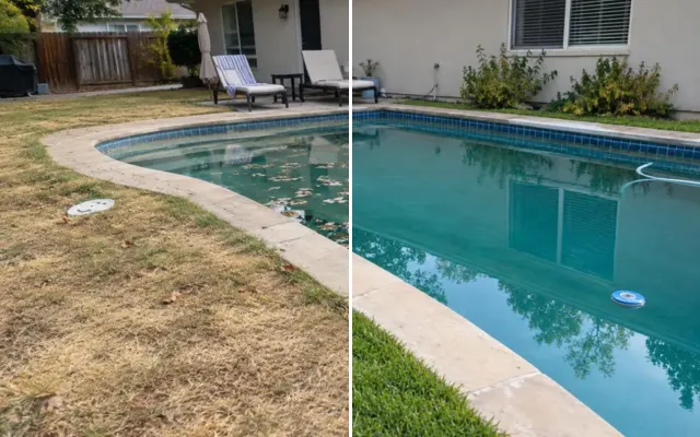 Before and after: Backyard photo with a green lawn and the leaves removed from the pool